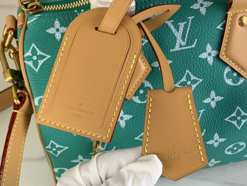 LV Travel Bags